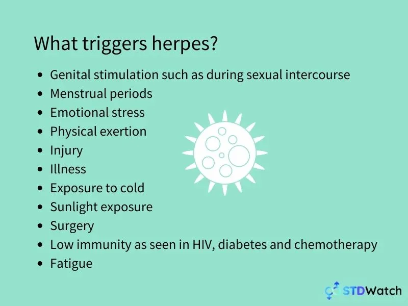what-triggers-herpes-infographic