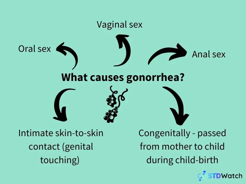 how-do-you-get-gonorrhea