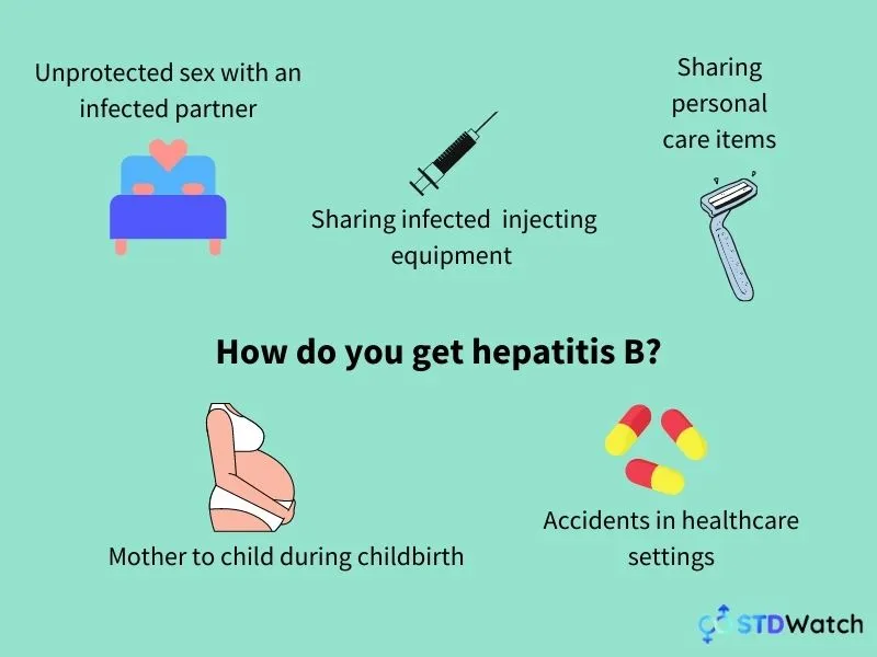 how-do-you-get-hepatitis-b-infographic